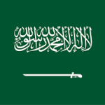 saudi arabia DRI Rotors